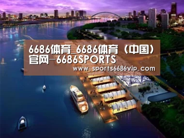 案例展示八