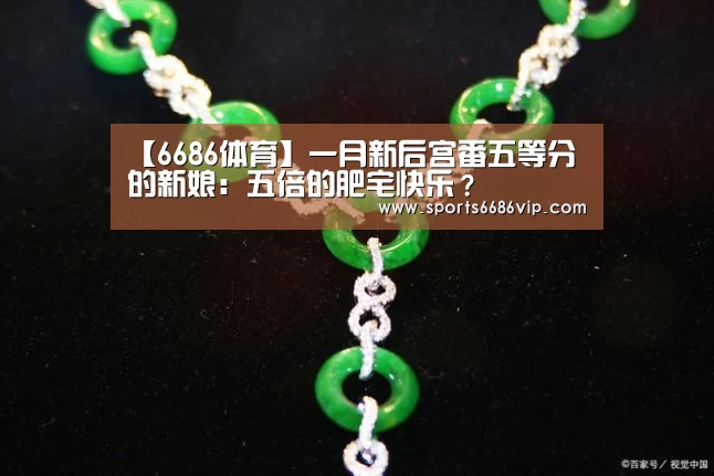 6686直播