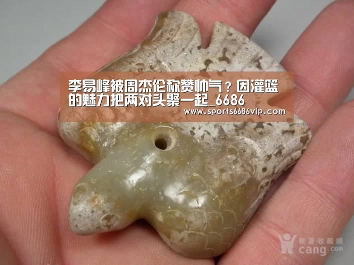 6686官网